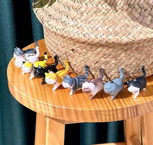 Load image into Gallery viewer, Best Friend Cat Figure Collectable Keyring Random Box