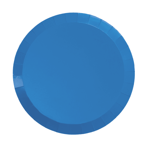 Sky Blue Plates Large (Pack 20)