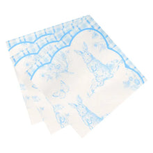 Load image into Gallery viewer, Playful Pierre Blue & White Paper Napkins (20 Pack)