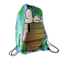 Load image into Gallery viewer, Peanuts Drawstring Bag Blue/Green Stripe
