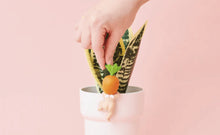 Load image into Gallery viewer, Sonny Angel Hippers Harvest Series