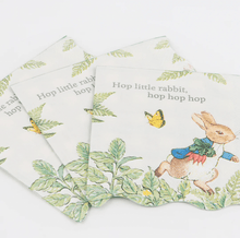 Load image into Gallery viewer, Peter Rabbit In The Garden Napkins Small (Pack 16)