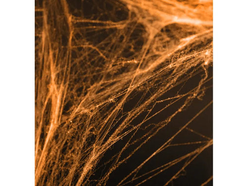 Orange Spider Web