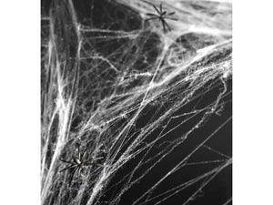White Spider Web