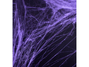 Violet Spider Web