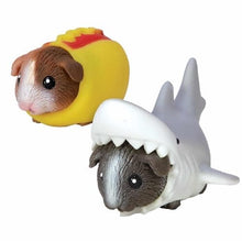 Load image into Gallery viewer, Party Guinea Pigs