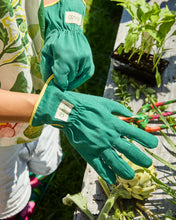 Load image into Gallery viewer, Kip&amp;Co. Wild Flowers In Bloom Garden Secateurs and Gloves Set