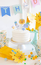 Load image into Gallery viewer, Animal Party Party Picks