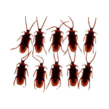 Load image into Gallery viewer, Rex London Classic Jokes - Cockroaches/Box of 10