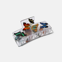 Load image into Gallery viewer, CHUNKS Box Claw in Butterfly