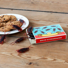 Load image into Gallery viewer, Rex London Classic Jokes - Cockroaches/Box of 10