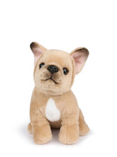 Load image into Gallery viewer, BT Chaps Philippe the French Bulldog