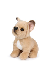 Load image into Gallery viewer, BT Chaps Philippe the French Bulldog