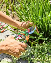 Load image into Gallery viewer, Kip&amp;Co. Veggie Soup Garden Secateurs and Gloves Set