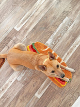 Load image into Gallery viewer, Sandwich Rug