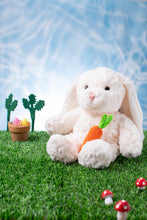 Load image into Gallery viewer, Petite Vous Willow The Bunny Soft Toy