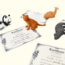 Load image into Gallery viewer, Adopt A Pet | Mini Mystery Animal