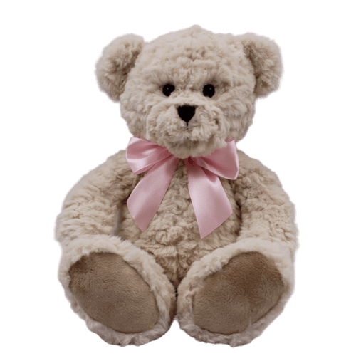 Evie the Bear Soft Toy