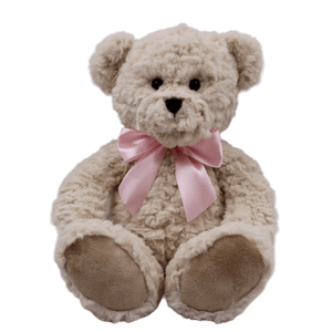 Evie the Bear Soft Toy
