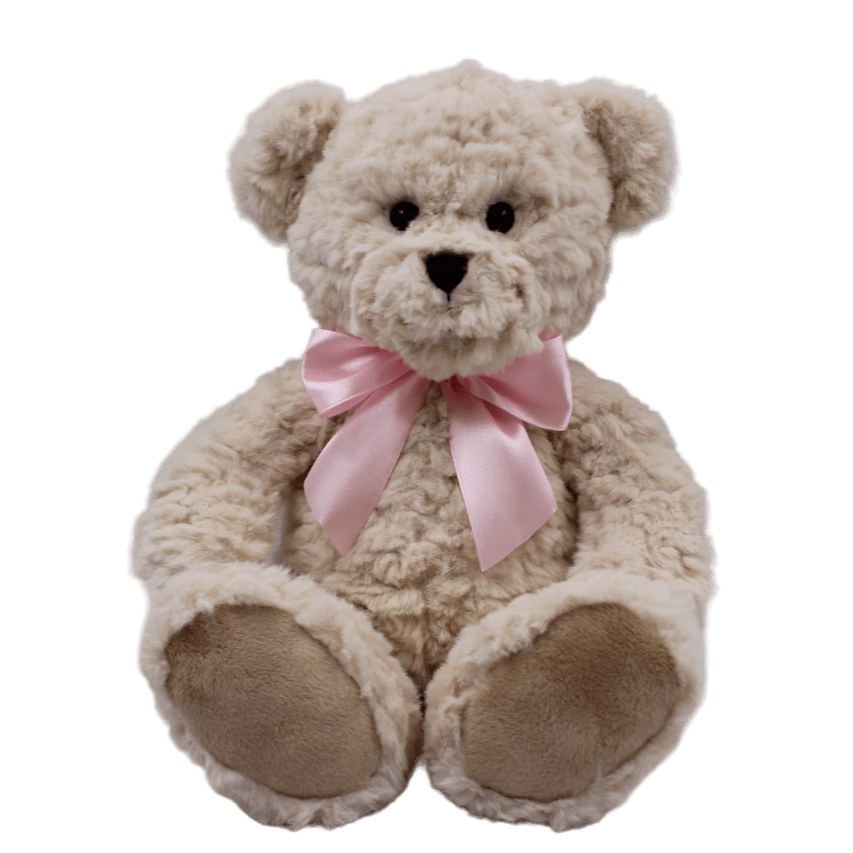Evie the Bear Soft Toy