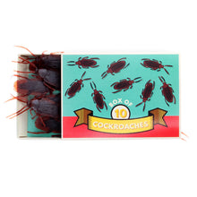 Load image into Gallery viewer, Rex London Classic Jokes - Cockroaches/Box of 10