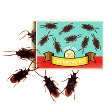 Load image into Gallery viewer, Rex London Classic Jokes - Cockroaches/Box of 10