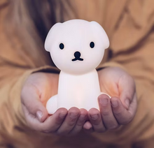 Load image into Gallery viewer, Mr Maria Bundle Of Light Snuffy