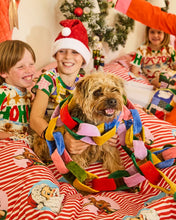 Load image into Gallery viewer, Kip&amp;Co Festive Velvet Chain Garland