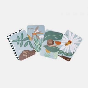 Garden Friends Flash Cards