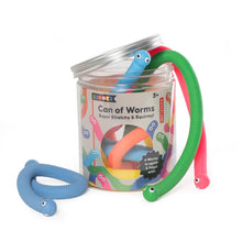 Load image into Gallery viewer, Kidoki Can Of Worms