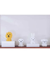 Load image into Gallery viewer, Mr Maria Bundle Of Light Lion