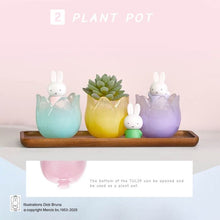 Load image into Gallery viewer, Miffy Tulip Blind Box Series