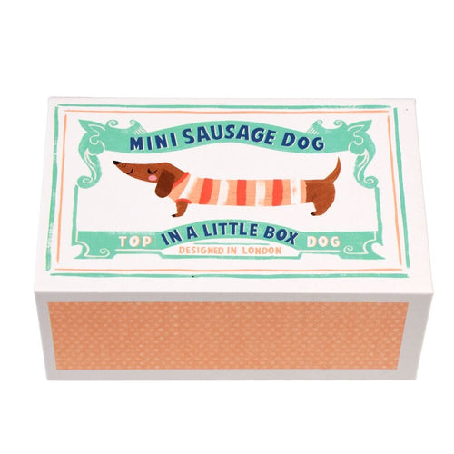 Mini Sausage Dog In Box