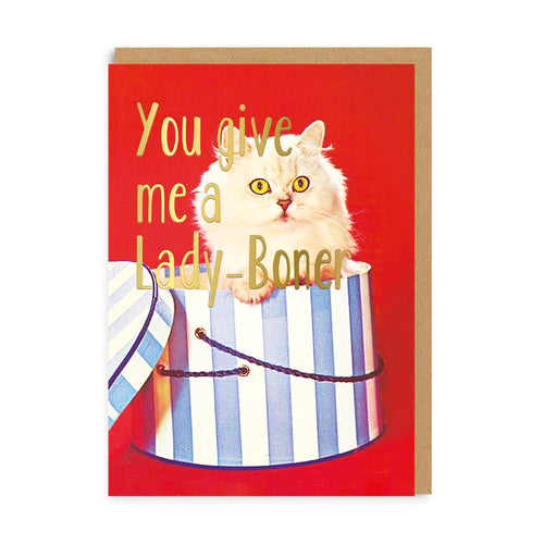 Lady Boner Valentines Greeting Card