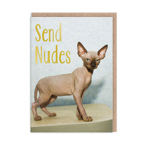 Send Nudes Greeting Card