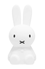 Load image into Gallery viewer, Bundle Of Light Miffy