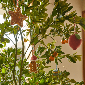 SAGE x CLARE Hanging Decoration Clarkia Raffia Spearmint