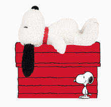 Load image into Gallery viewer, Snoopy Tiny Teddy Gift Boxed