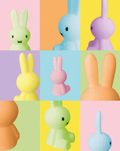 Load image into Gallery viewer, Miffy &amp; Friends Bundle of Night Light - Colourful Surprise Collection 15cm