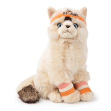 Load image into Gallery viewer, BT Chaps Dolly the Ragdoll