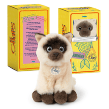 Load image into Gallery viewer, BT Chaps Eddie the Siamese Boxed