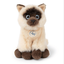 Load image into Gallery viewer, BT Chaps Eddie the Siamese Boxed