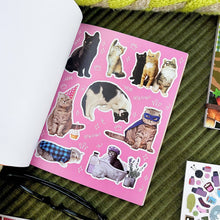 Load image into Gallery viewer, Hiss-terically Funny Cat Sticker Book