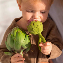 Load image into Gallery viewer, Oli &amp; Carol Artichoke Rattle Toy