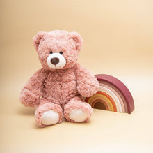 Load image into Gallery viewer, Rusty the Bear Soft Toy