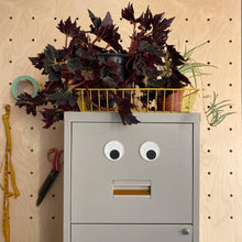 Load image into Gallery viewer, Googly Eye Novelty Magnets