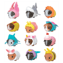 Load image into Gallery viewer, Party Guinea Pigs