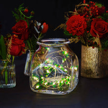 Load image into Gallery viewer, Christmas Holly String Lights