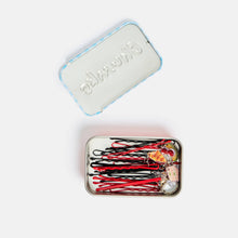 Load image into Gallery viewer, Picnic Bobby Pins