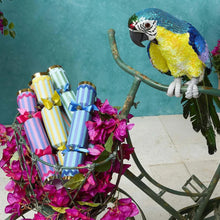 Load image into Gallery viewer, La Dolce Vita Mixed Stripe Crackers